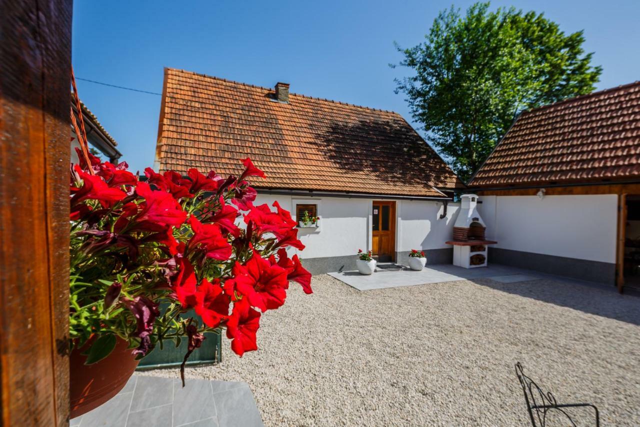 Beautiful Cottage With Heated Pool For 22 Ppl Plaški Eksteriør bilde